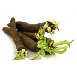 SALSIFY PER KG